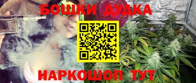 шишки Гусев