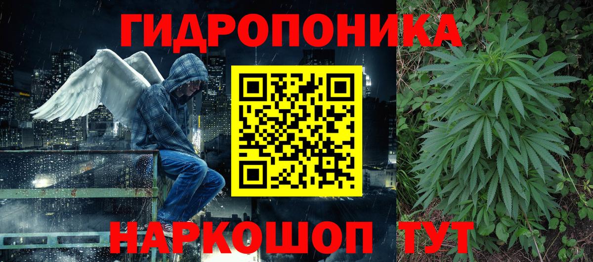 Шишки марихуана марихуана Нальчик